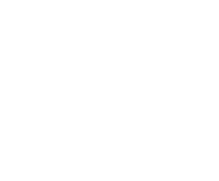 WanderWise Logo