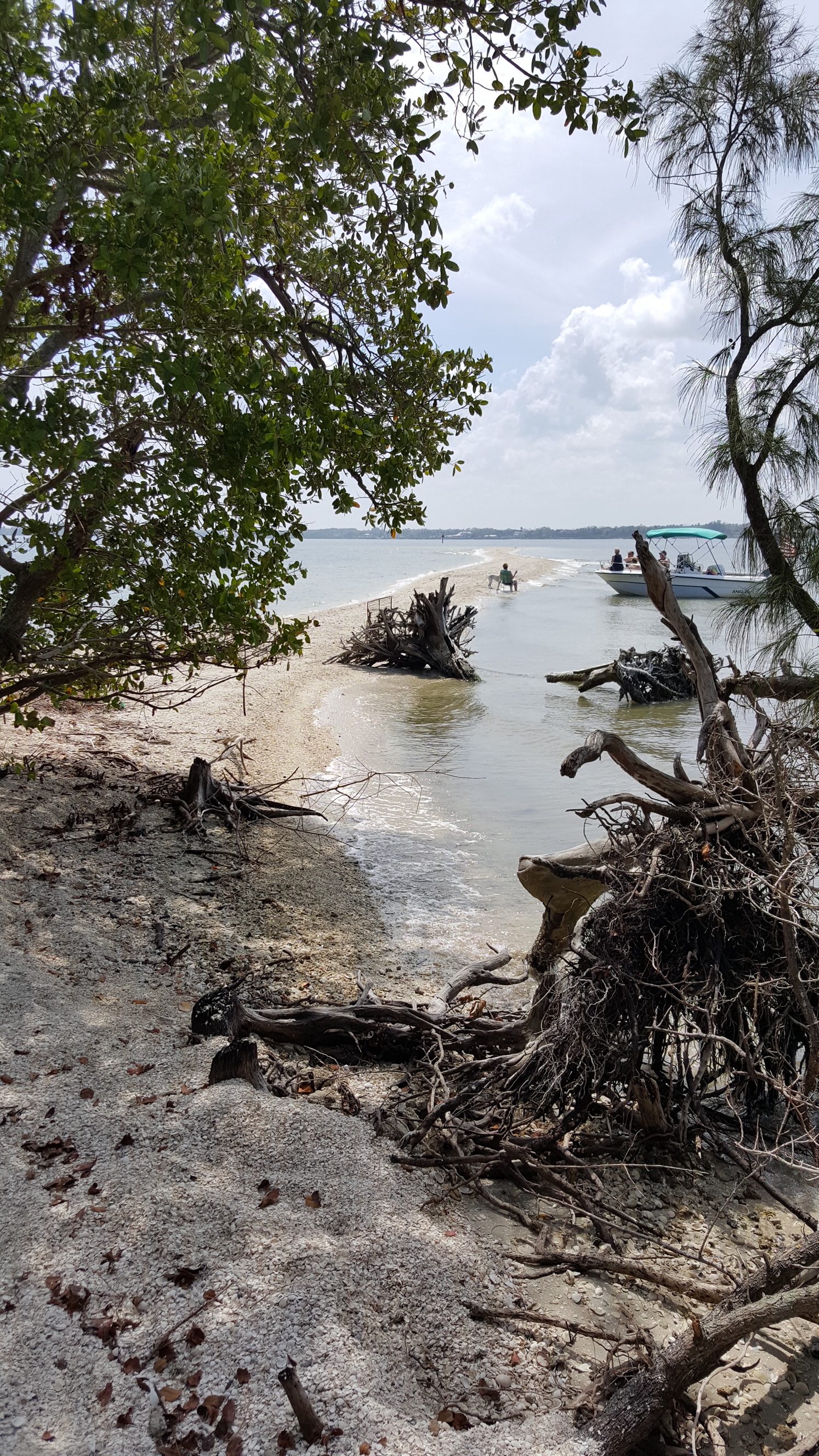 WanderWise Travel Album Caribbean vacation beach